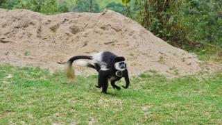 Rweteera Homestay - Fort Portal - 3