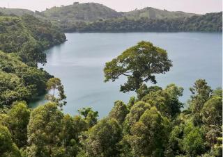 Rweteera Homestay - Fort Portal - 1