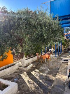 Olive Stonehouse - Plomarion - 8