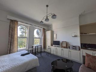 Ensuite double room by Swansea University Hospital - Swansea - 0