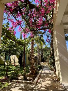 Villa Loretta 1 - Posidhonía - 3