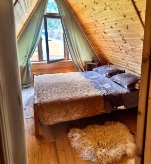 Forest hut - Bordschomi - 5