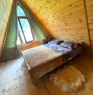 Forest hut - 6