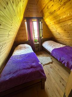 Forest hut - 8