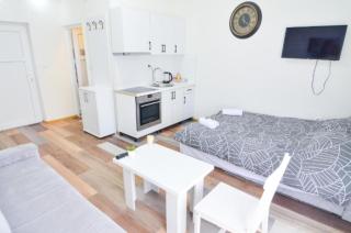 Old Town Rental Apartments - Sarajevo - 2