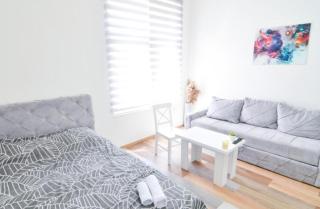 Old Town Rental Apartments - Sarajevo - 1