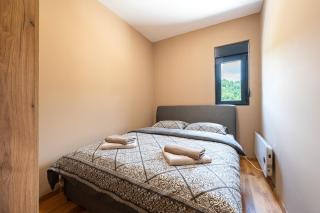 Family apartman Greywood house - Kolašin - 7