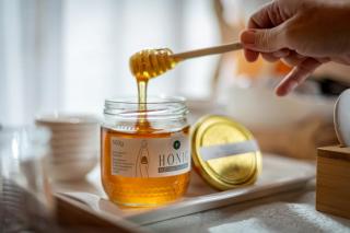 Gästehaus Berta - 1