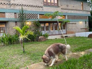 Aayuni Farmstay - 1