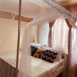 Chox Nest - 1