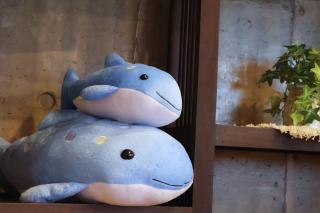 恩納村リゾート貸別荘 COCO PLUS No2 - 1