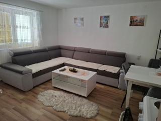 Oaza Apartment Goransko Plužine - Plužine - 0