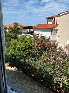 Sea Garden House Mandre - Mandre - 3