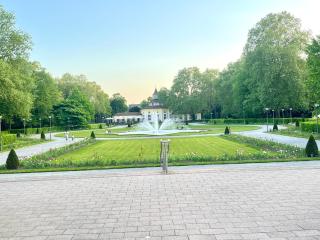Schönes Zimmer in einer 3er WG - Ludwigshafen am Rhein - 5