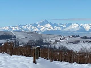 Langhe da cartolina - Mango - 2