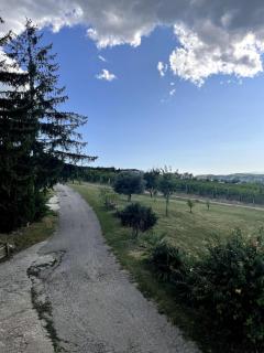 Langhe da cartolina - 3