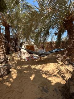 Amsa Damsa Camp - Siwa - 5