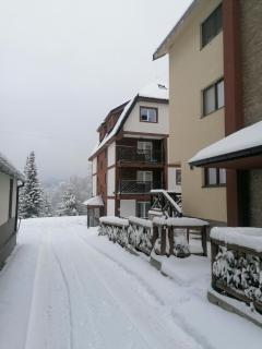 Terrace Studio Kopaonik - 4