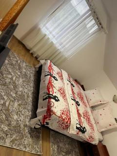 Cole si Denisa - Beclean - 4