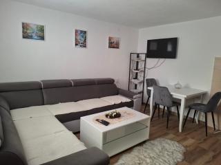 Oaza Apartment Goransko Plužine - 9