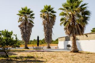 Quinta Alto da Capela - Setúbal - 0