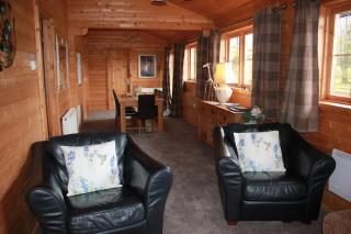 Perfect getaway Cabin Haf with Hot Tub - Llanrhaeadr-ym-Mochnant - 9
