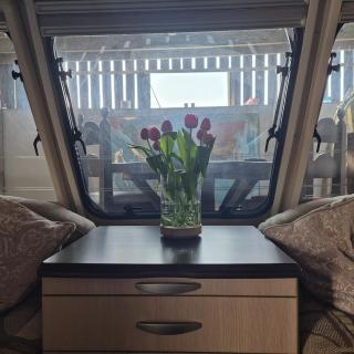 The Cosy Hide - A romantic rural retreat for 2 - Cottenham - 2