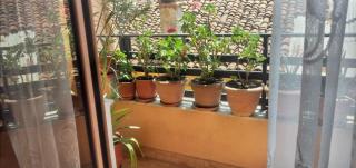 Vila Elio - Pogradec - 5