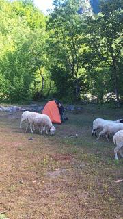North wild camping - Shkodër - 3
