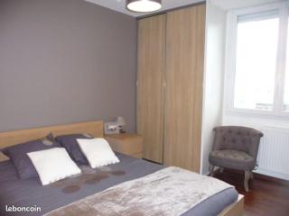 T3 au calme Grenoble avec parking gratuit - Grenoble - 4