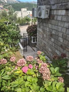 Apartmani Budva - 2