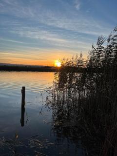 Spindleberry - Exeter - 7