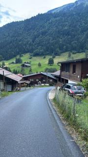 The Saxeten alps - Arni Alp - 8