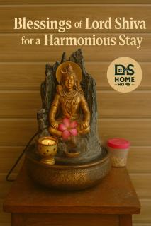 Wander Vibes Quadruple Boys DROM - 6