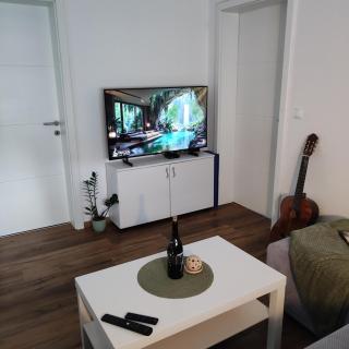 Elegant City Escape Old Town Ptuj Apartment - 5