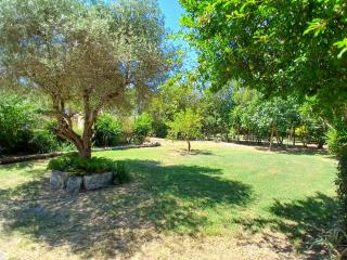 Mas d'Alivon - Arles - 4