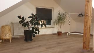 Gemütliches Apartment Norderstedt - Norderstedt - 7