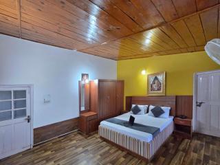Golden Zenith Villa - Kasauli - 9
