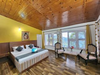 Golden Zenith Villa - Kasauli - 8