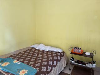 bagga villa - Patna - 3