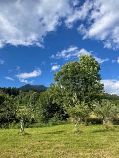 Casa Acquariana - Belluno - 8