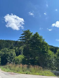 Ruhige Ferienwohnung im Schwarzwald - Schramberg - 8
