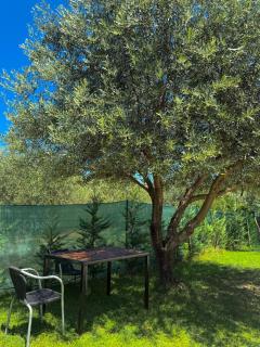Agro Camping Harmony - Berat - 6