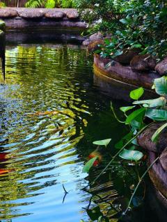 Long Homestay Mỹ Hạnh - Ðức Hòa - 2