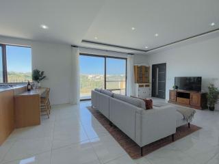 Penthouse with Xlendi Views & Two large Terraces - Munxar - 9
