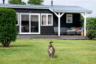 Minicamping de Boshoek - 2