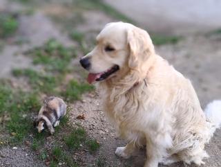 La chambre de Perrine - 2