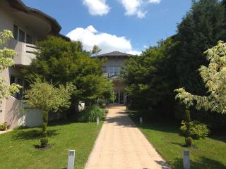 Vila Dincic doo - Veliko Gradište - 9