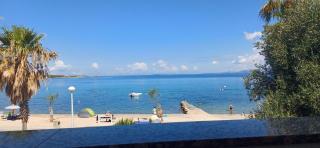 Graf Holiday Vir - Vir (Puntadura) - 7