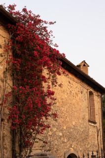 Casa Qafiz - 8